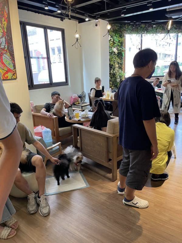 森林小徑文心店對寵物超友善